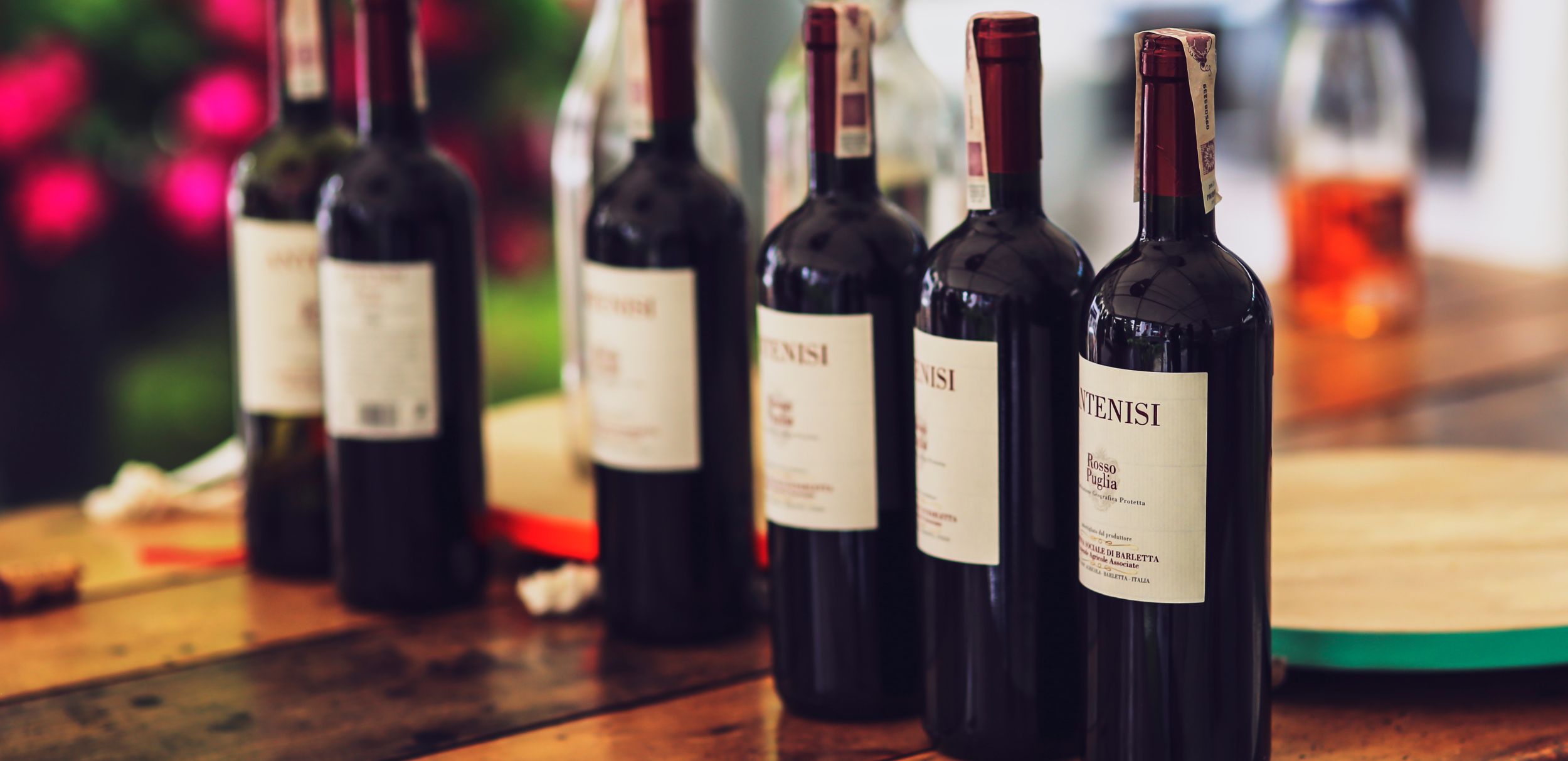 El Gotto Degustazioni-3